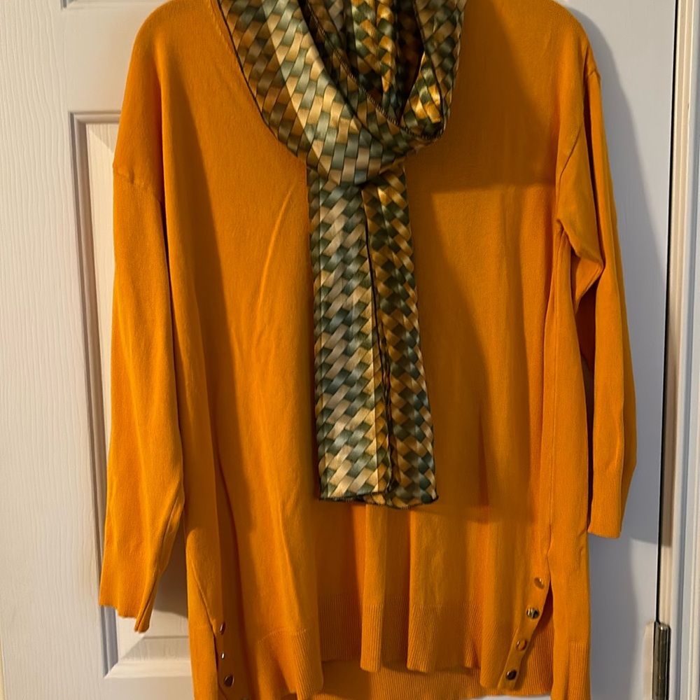 V neck sweater